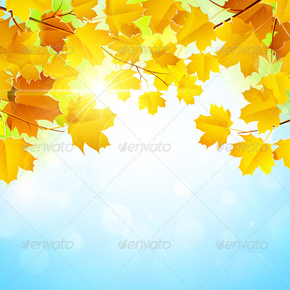 Autumn 20background 20v 20kr