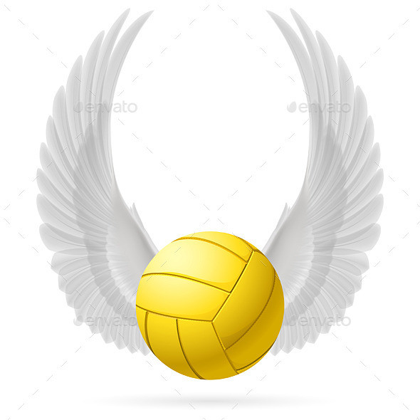 Wings inspire ball 05 01 590