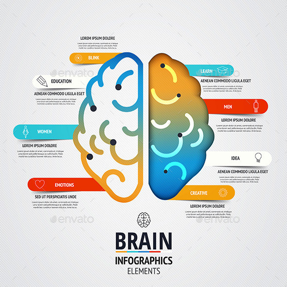 Brain 20infographics