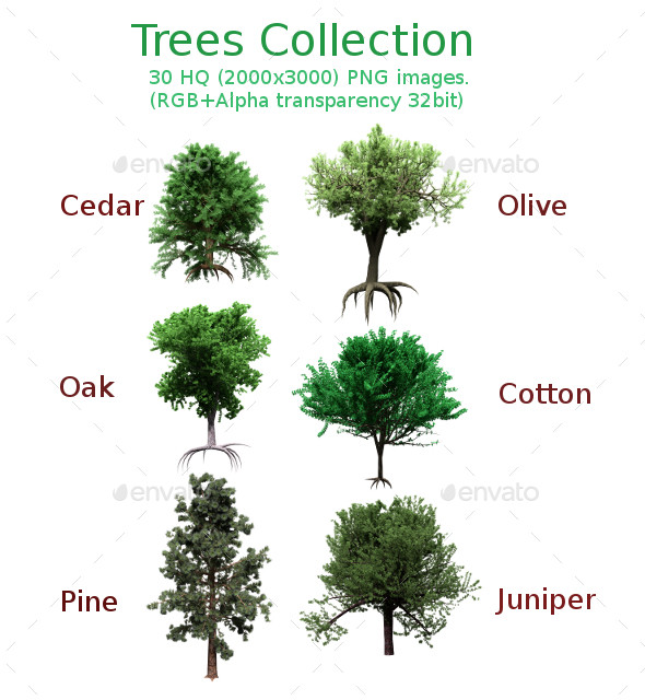 Tree collection vol 1 preview