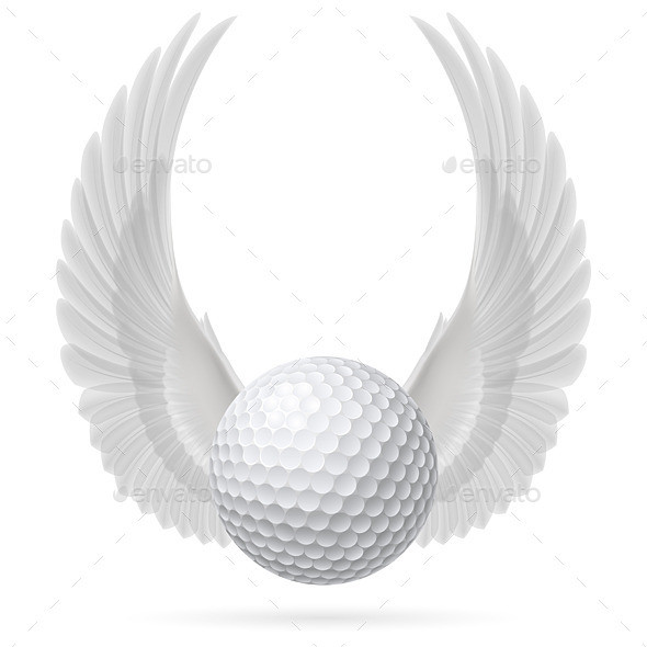 Wings inspire ball 07 590