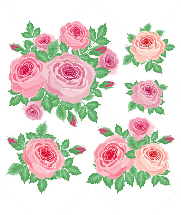 Set 20of 20roses