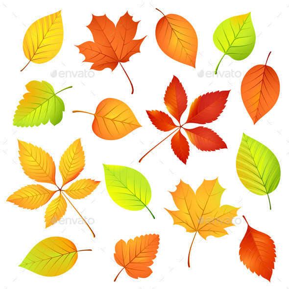 Autumn 20leaves 20v 20kr