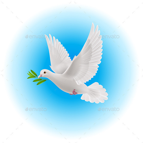 Dove of peace symbol z dove of peace dove noah 01 590