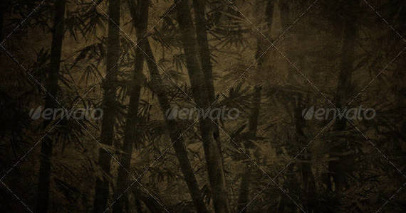 Box rice aper bamboo forest background preview