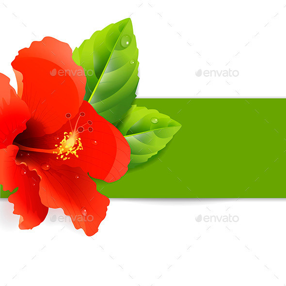 Floral 20background 20with 20hibiscus