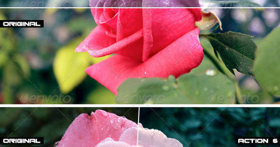 Box 10 20rose 20flower 20photoshop 20actions