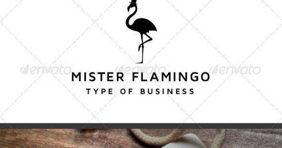 Box preview logo flamingo