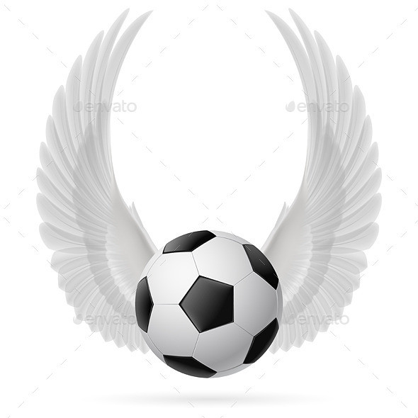 Wings inspire ball 01 07 590