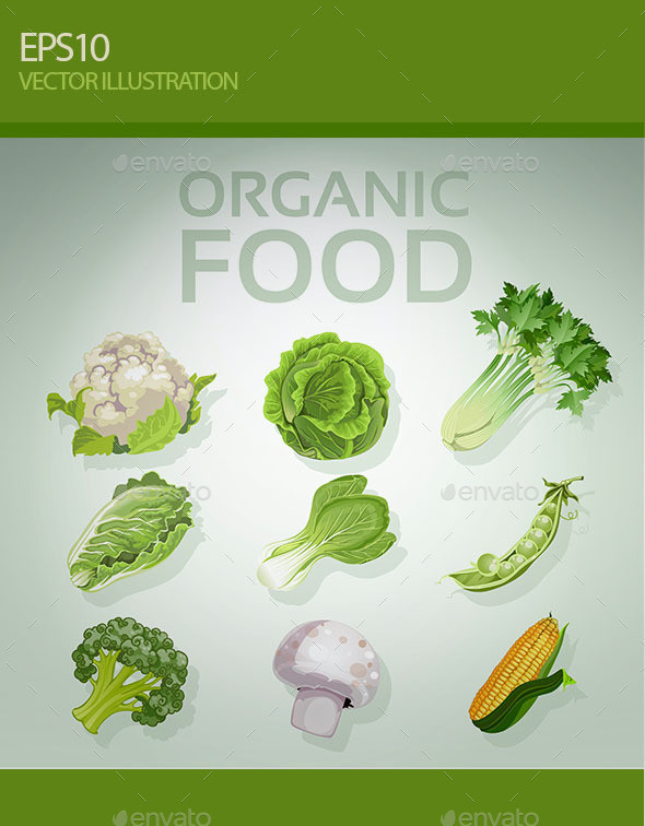 Organic 20food 20590