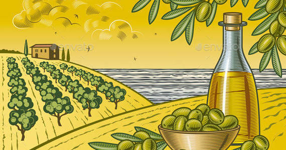 Box p olive harvest landscape