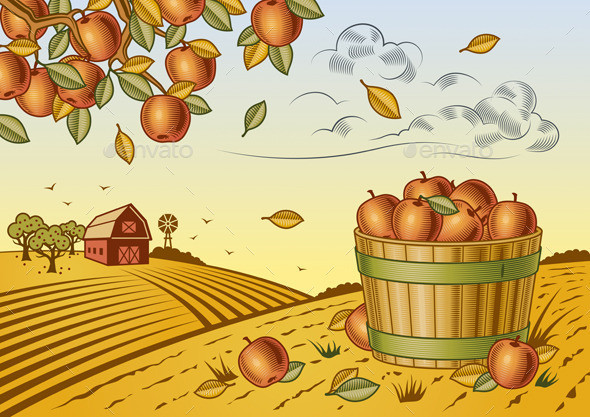 P apple harvest landscape