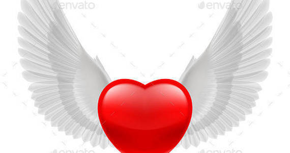 Box wings inspire heart 02 590