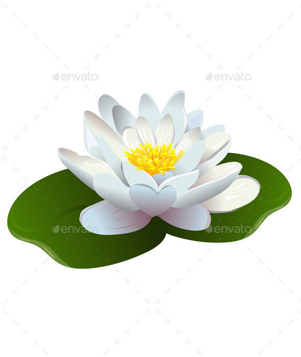 Lotus 20flower image 20preview