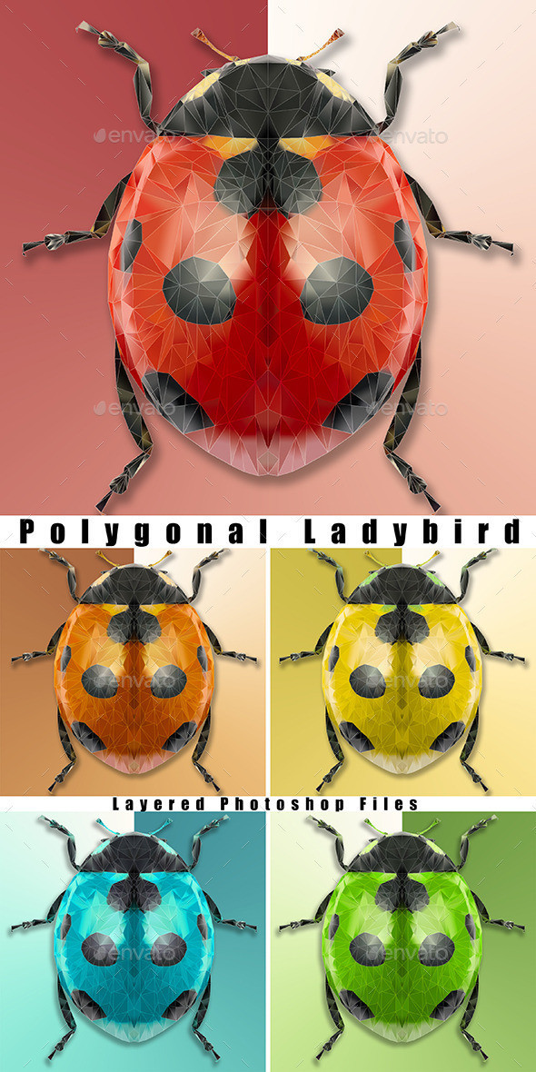 Polygonal ladybirds preview
