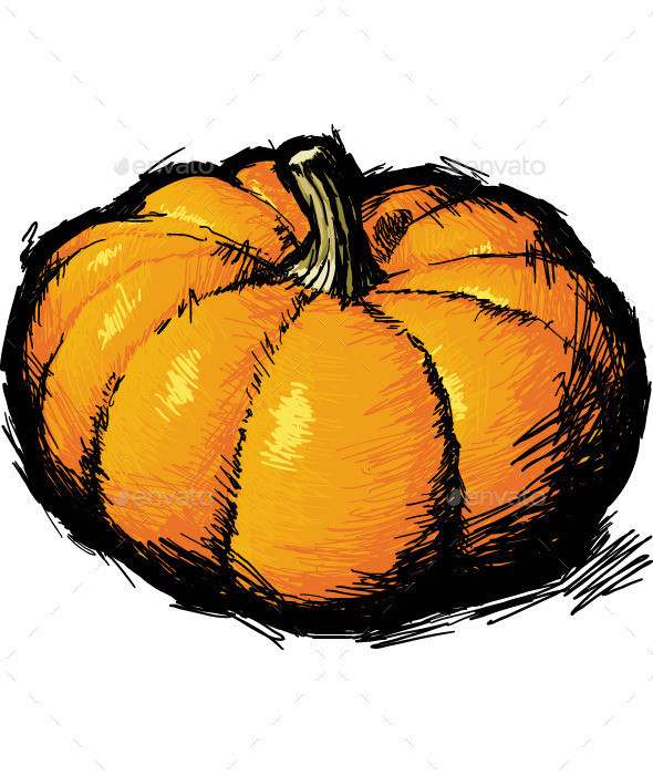 Pumpkin 590