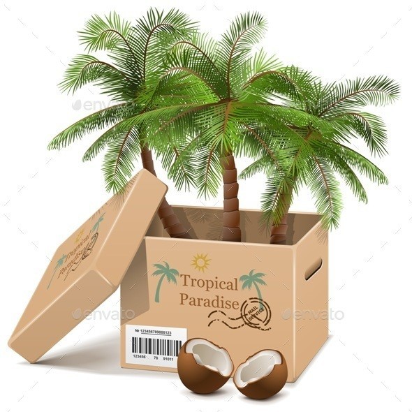 Vector 20palm 20tree 20in 20box