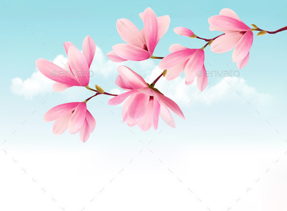 01 nature background with pink magnolia t