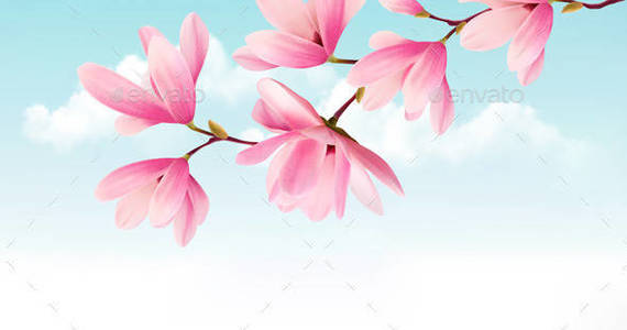 Box 01 nature background with pink magnolia t