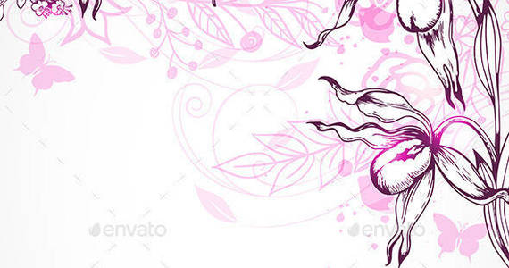 Box pink orchid background2590