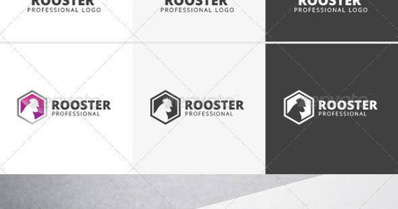 Box rooster preview