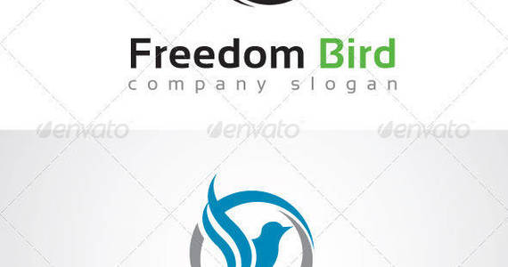 Box freedom bird preview
