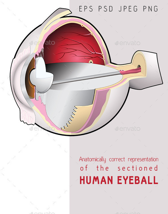 Preview eyeball