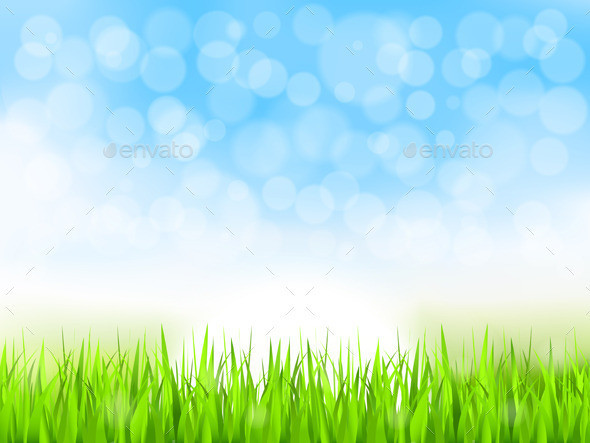 Preview summer grass