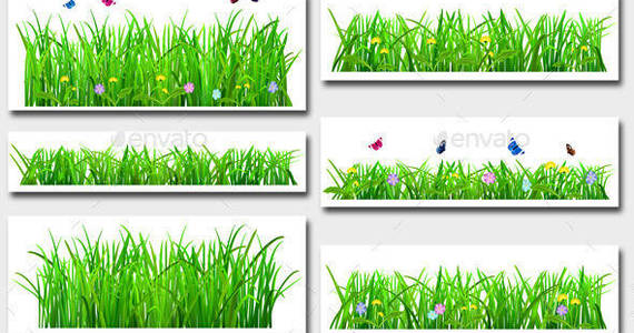 Box grass3 2 p