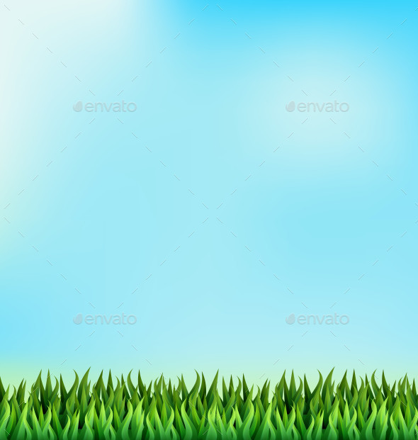 Grass 0021 with blue sky background am ipr