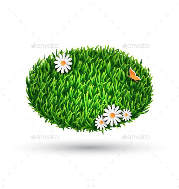 Grass 0014 butterfly camomile isolated am ipr