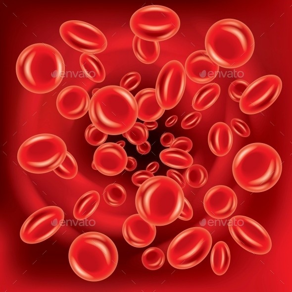 Blood cells in artery 01