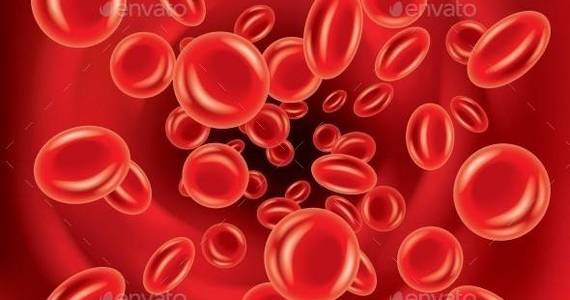 Box blood cells in artery 01