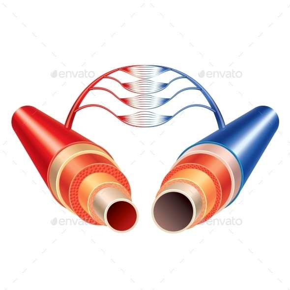 Artery and vein vessels 01