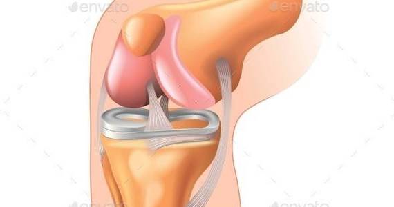 Box knee joint isolated 01