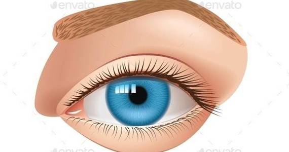 Box human eye isolated 01