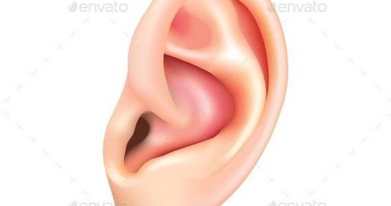 Box human ear isolated 01