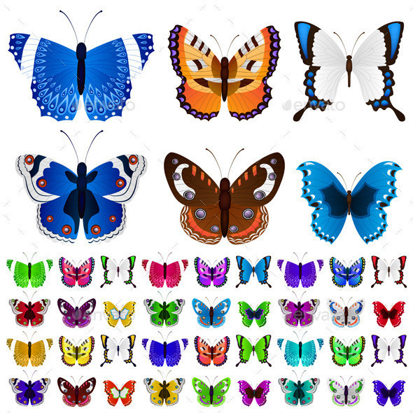 Butterfly3 1 set p