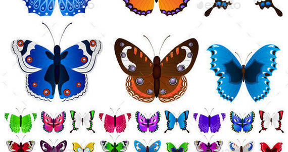 Box butterfly3 1 set p