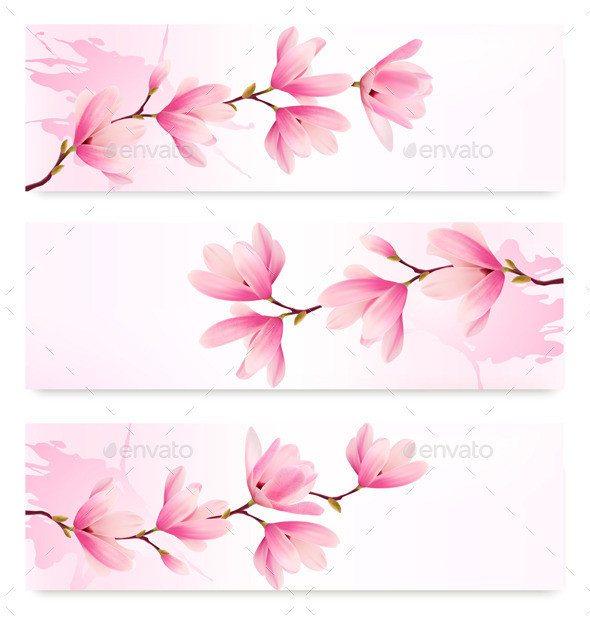 01 nature spring banners with blossom brunch of magnolia t