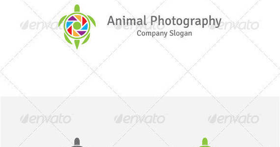 Box animal 20photography 20image 20preview