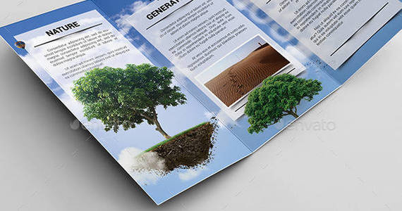 Box eco brochure preview 2
