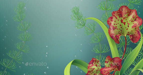 Box underwater background1 preview