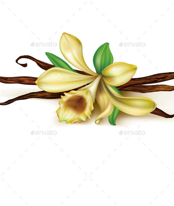 Vanilla 20orchid prev