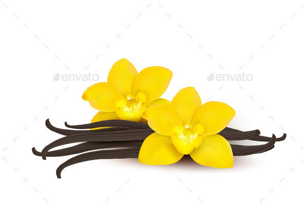 01 vanilla with two yellow flowers t
