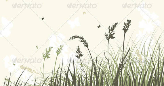 Box summer meadow sep 06 2014 04 590