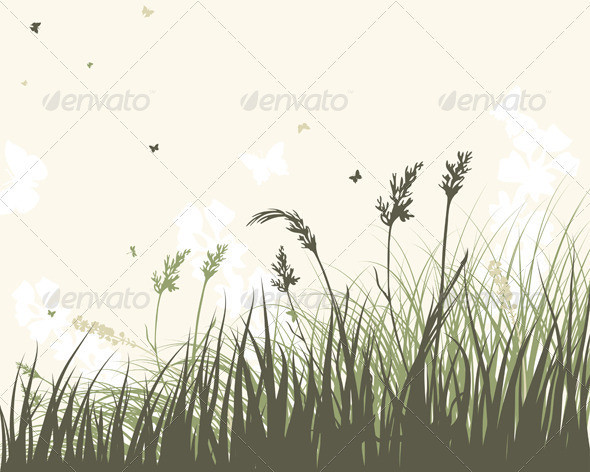 Summer meadow sep 06 2014 04 590