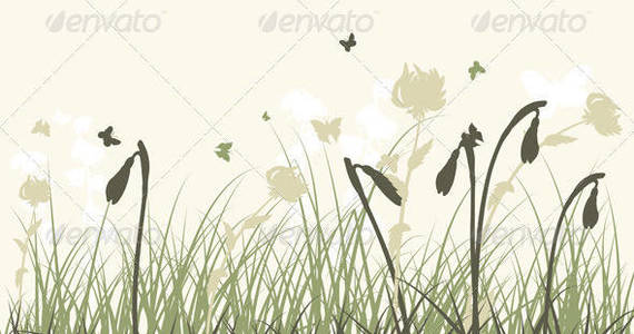 Box summer meadow sep 06 2014 03 590