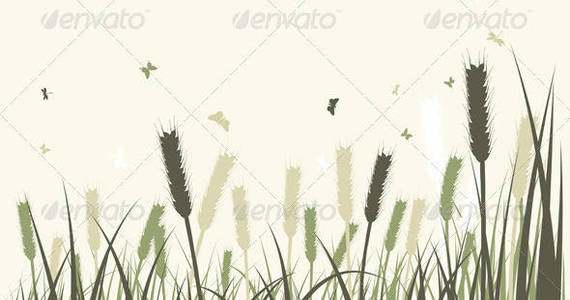 Box summer meadow sep 06 2014 02 590