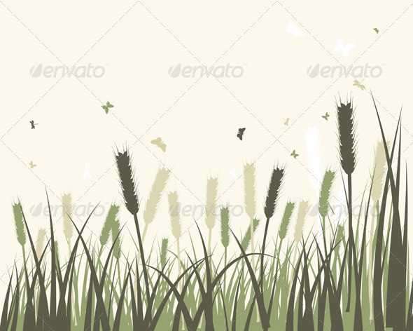 Summer meadow sep 06 2014 02 590